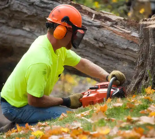 tree services Newark